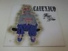Calexico - Feast Of Wire (LP)